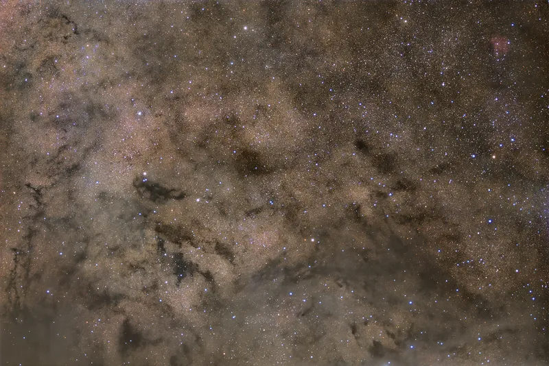 LDN 541, a dark nebula in Cepheus threading a dense star field