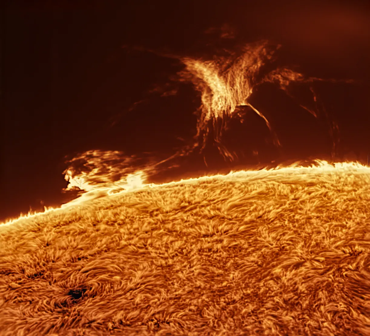 A close-up hydrogen-alpha image of the Sun, showing a towering solar prominence above the chromosphere